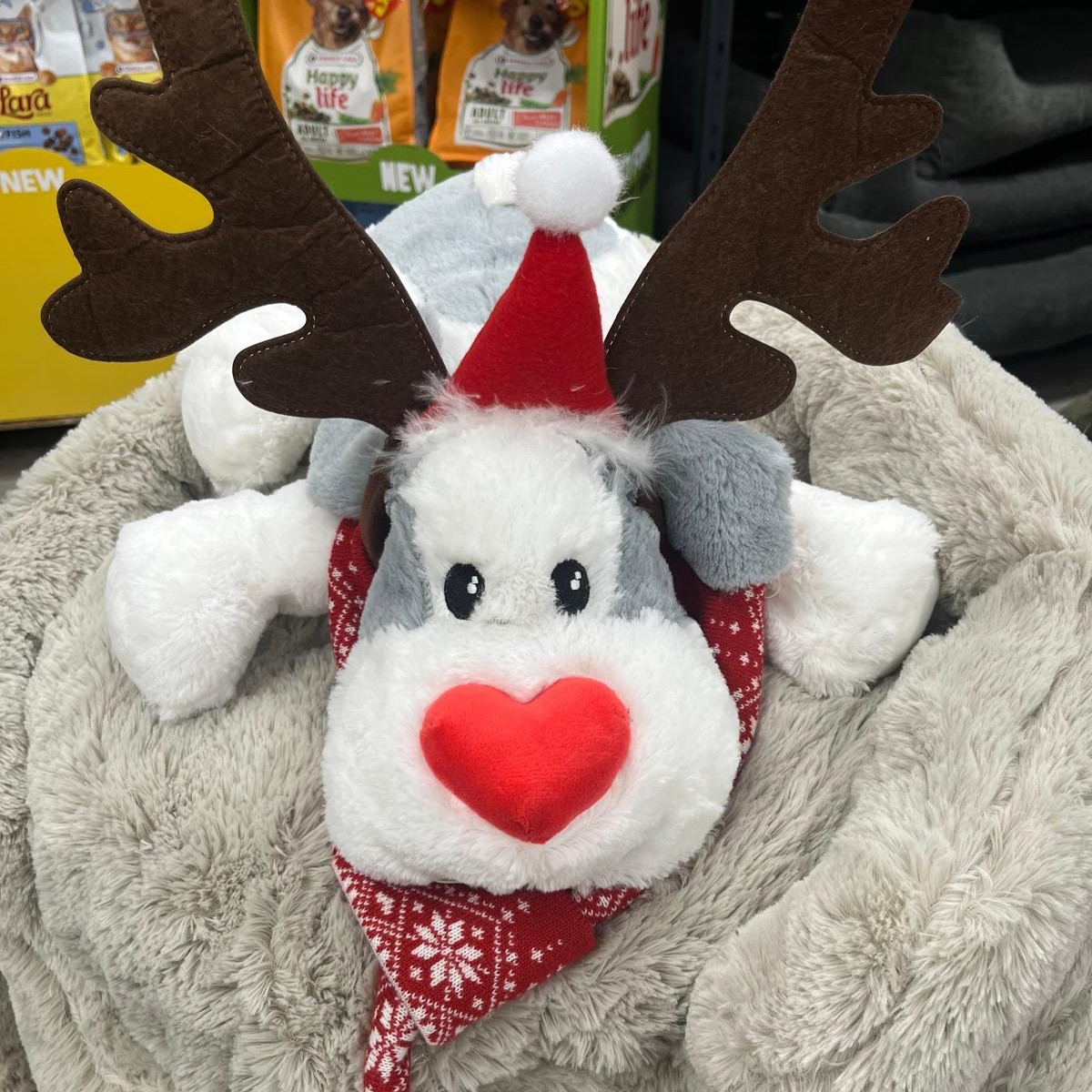 WhatsApp Image 2025-11-17 at 18.04.16