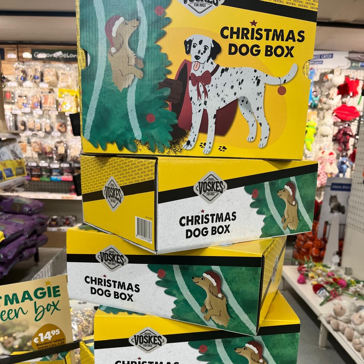 WhatsApp Image 2025-11-17 at 18.04.17