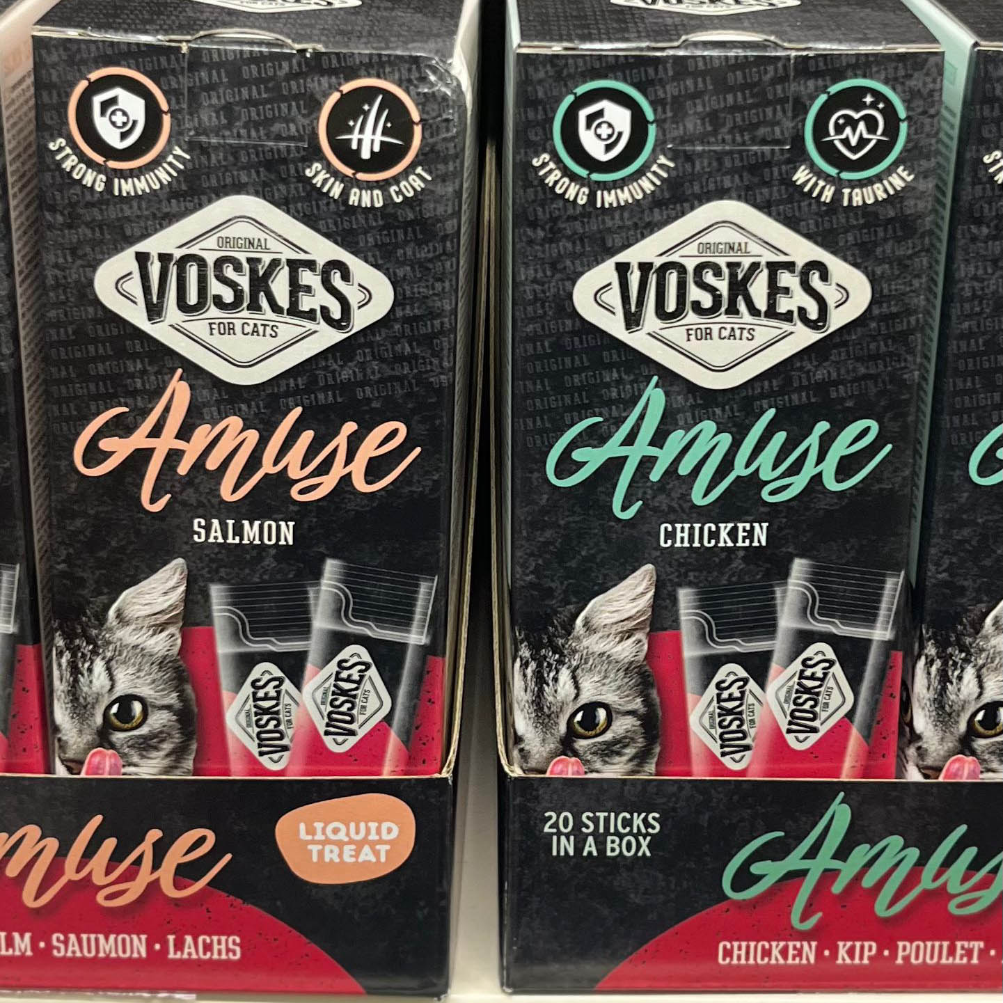 WhatsApp Image 2026-02-28 at 11.27.37 (2)