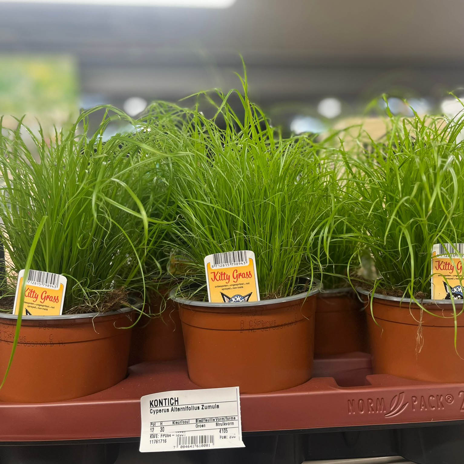 WhatsApp Image 2026-02-28 at 11.27.37 (3)