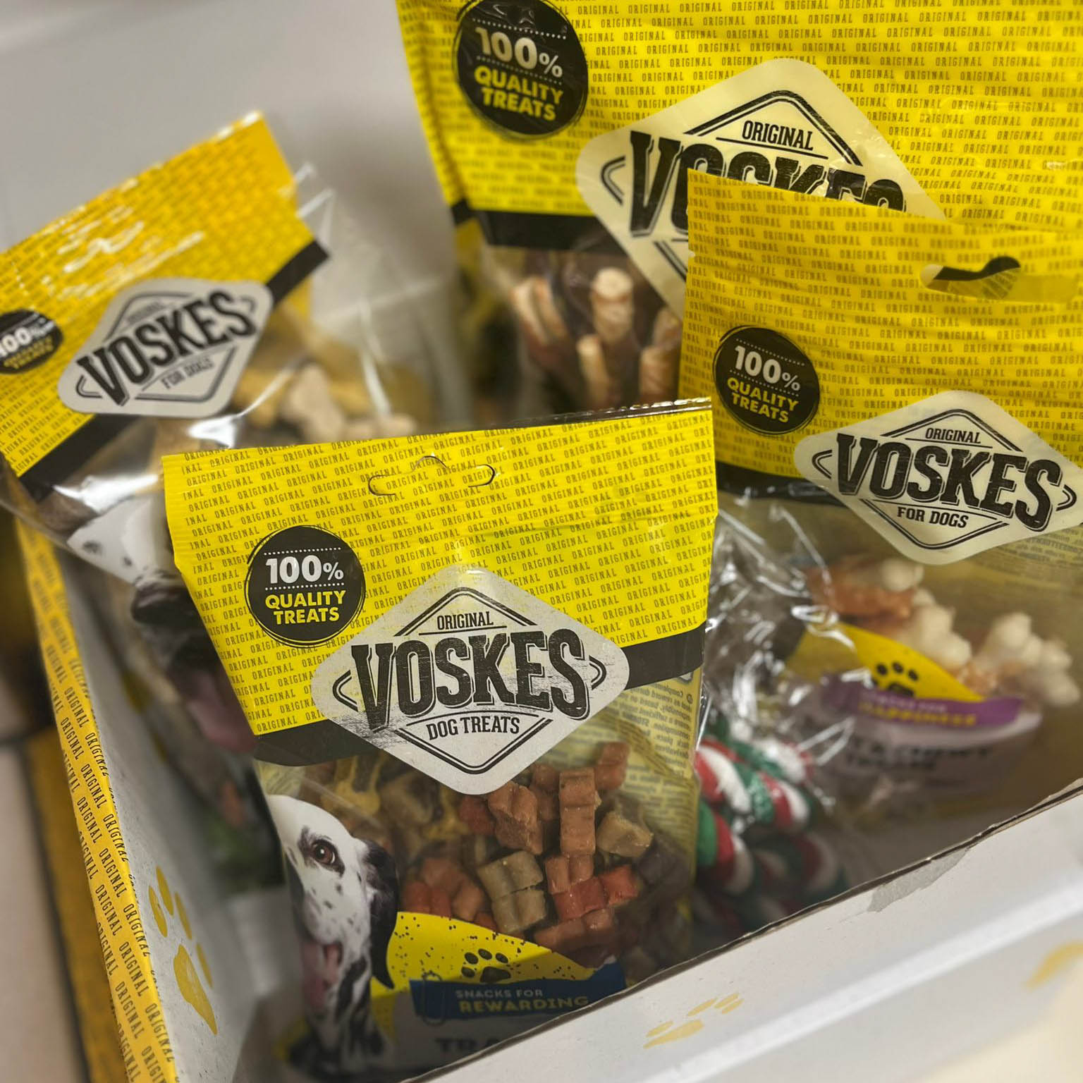 WhatsApp Image 2026-02-28 at 11.27.37 (5)