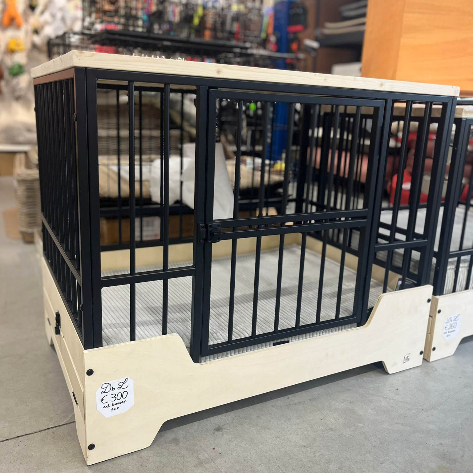 WhatsApp Image 2026-02-28 at 11.27.38 (1)