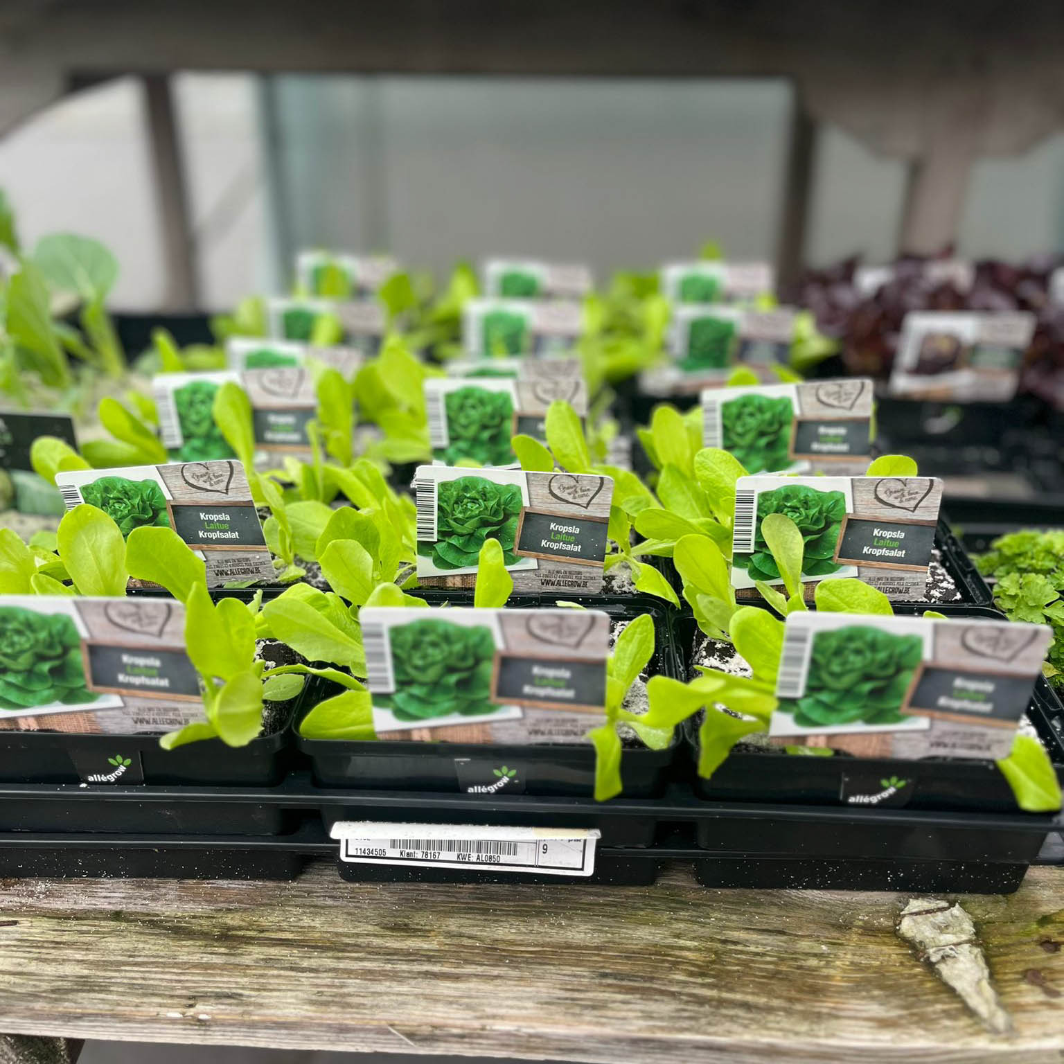 WhatsApp Image 2026-02-28 at 11.27.38 (2)