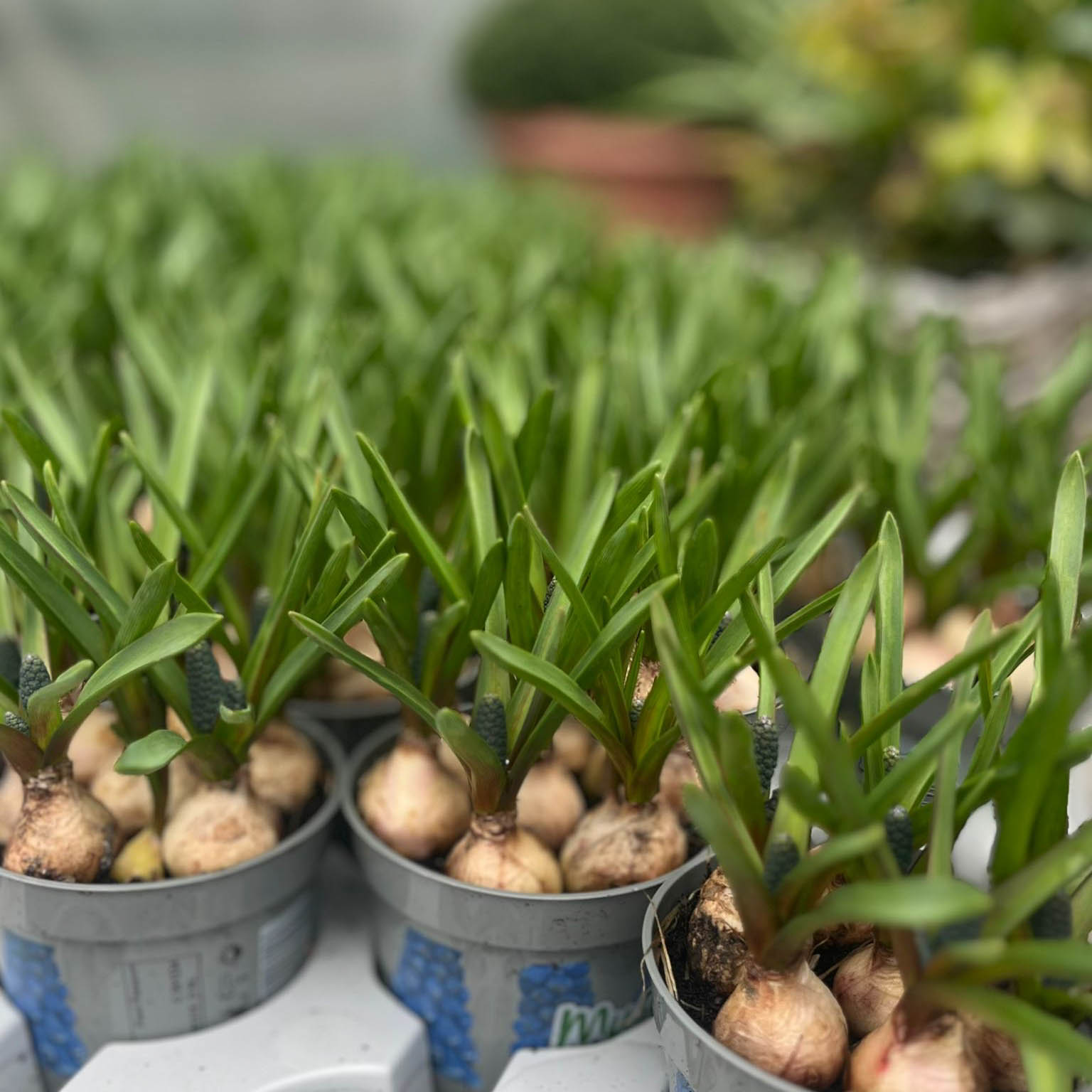 WhatsApp Image 2026-02-28 at 11.27.38 (4)