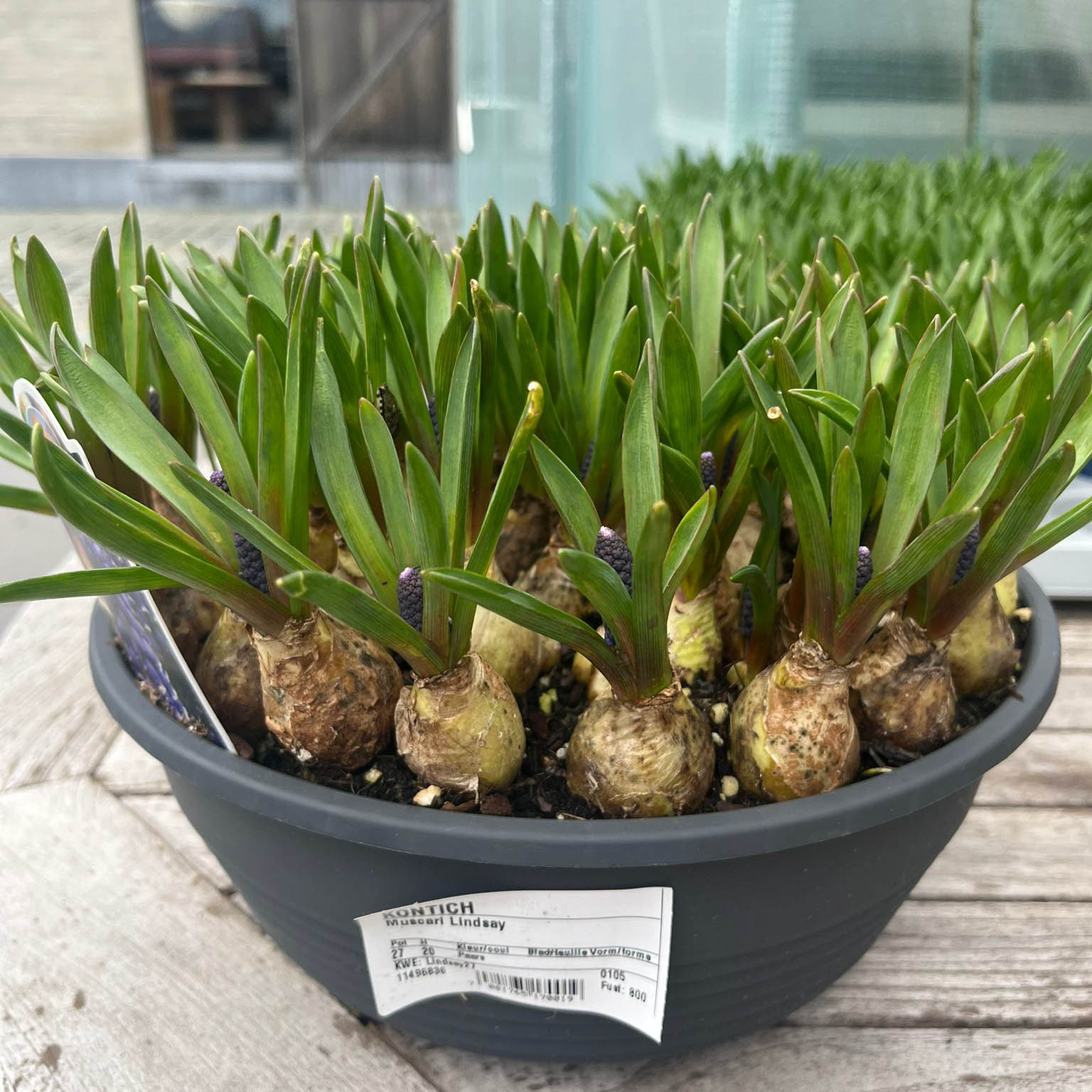 WhatsApp Image 2026-02-28 at 11.27.38 (5)