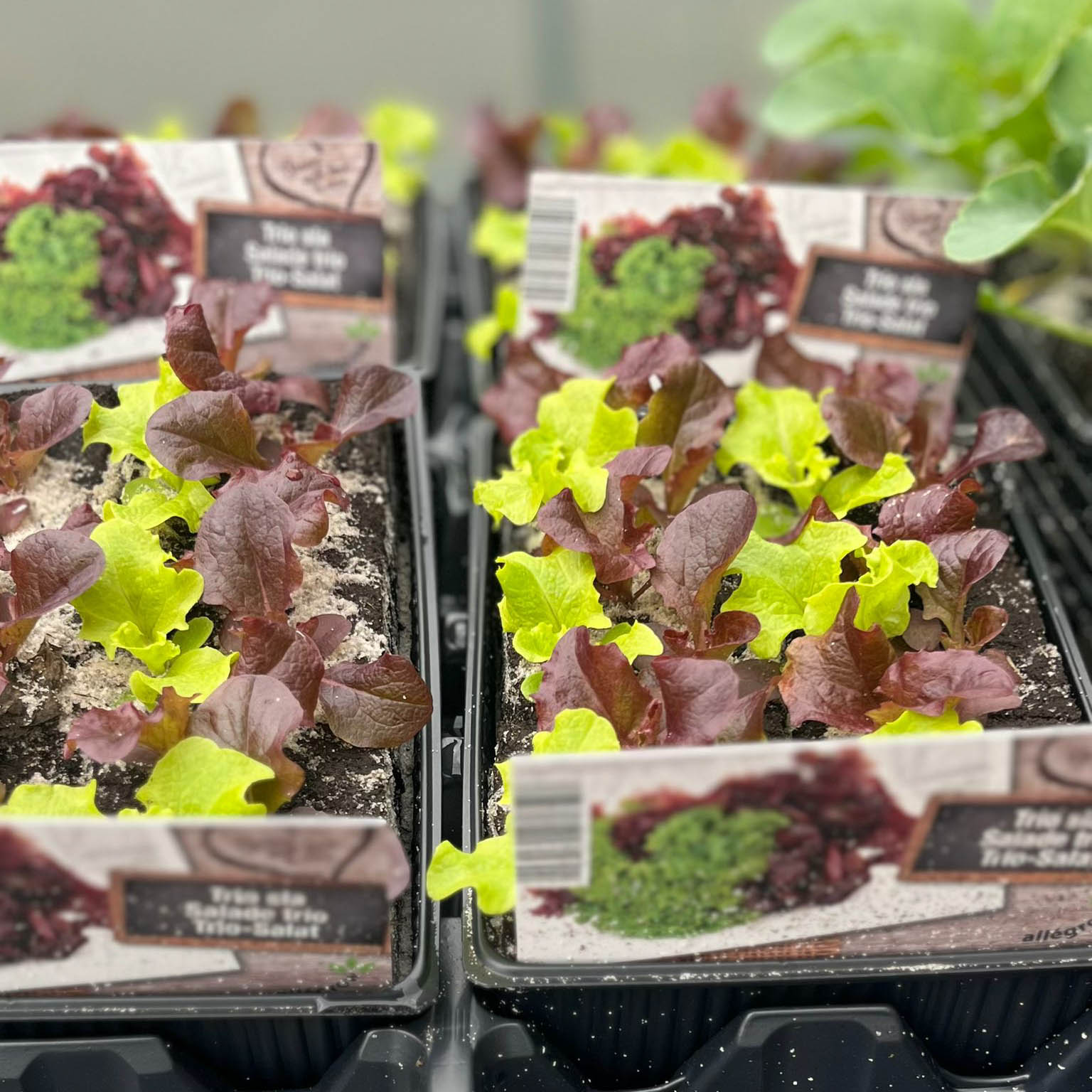 WhatsApp Image 2026-02-28 at 11.27.38