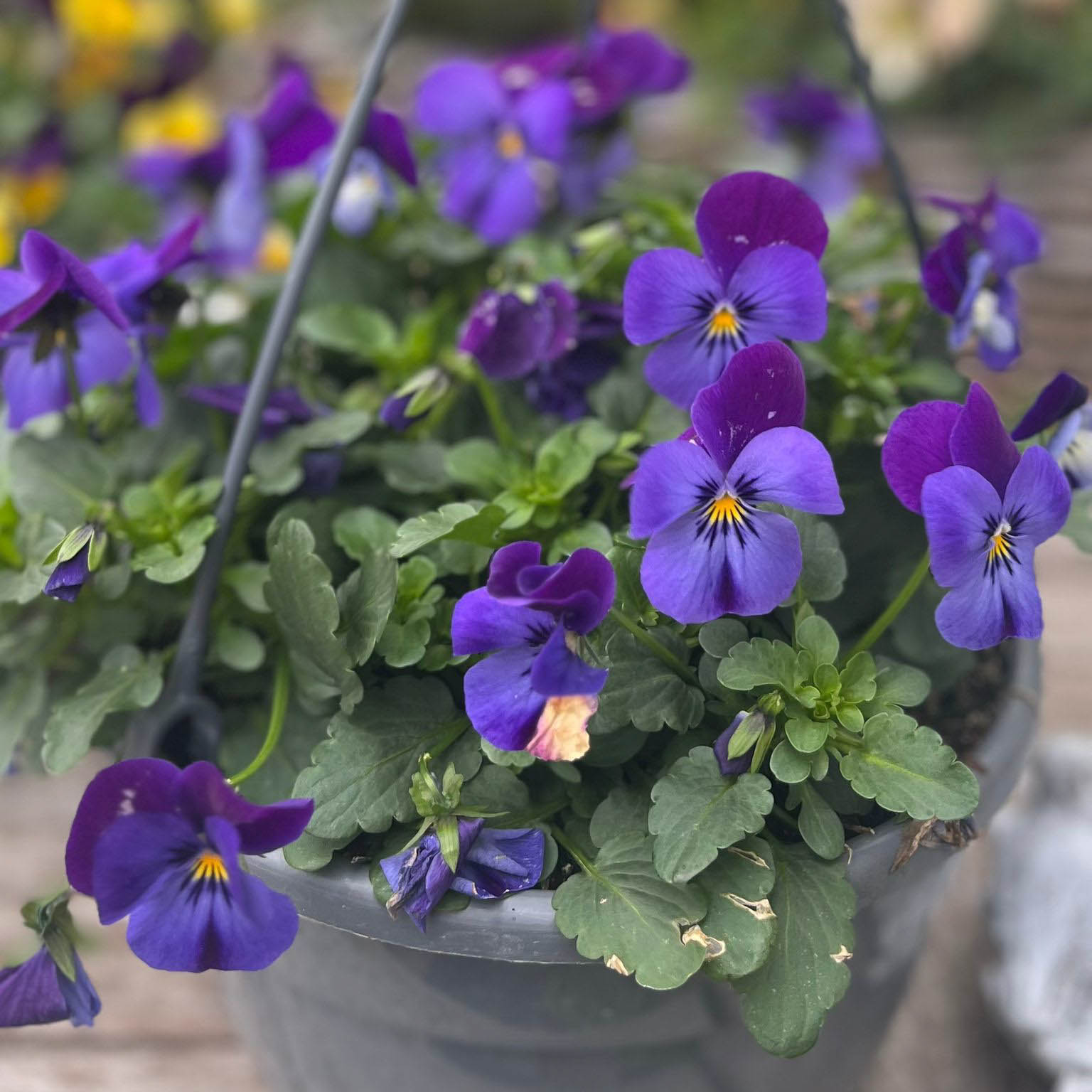 WhatsApp Image 2026-02-28 at 11.27.39 (1)