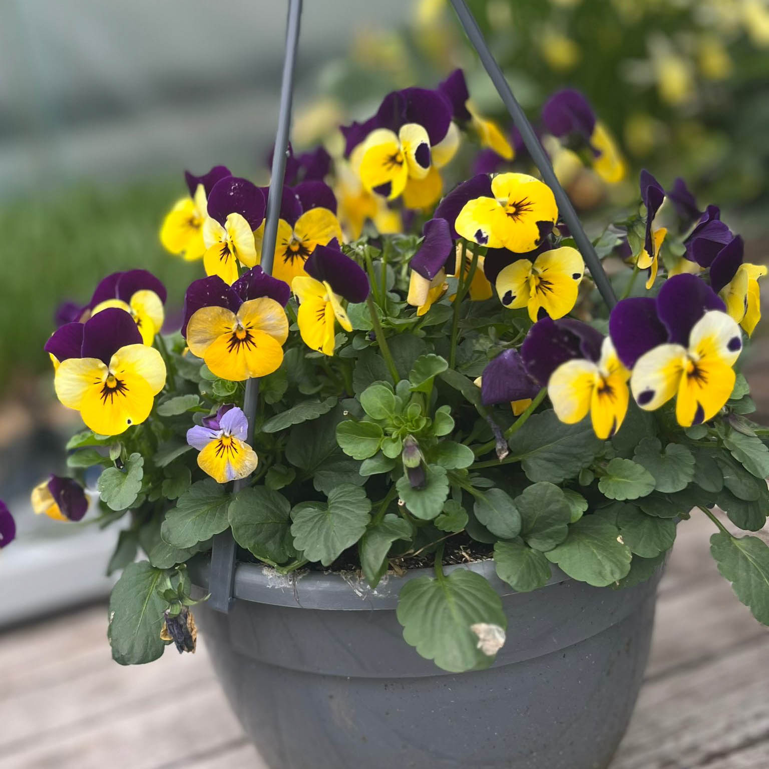 WhatsApp Image 2026-02-28 at 11.27.39 (2)