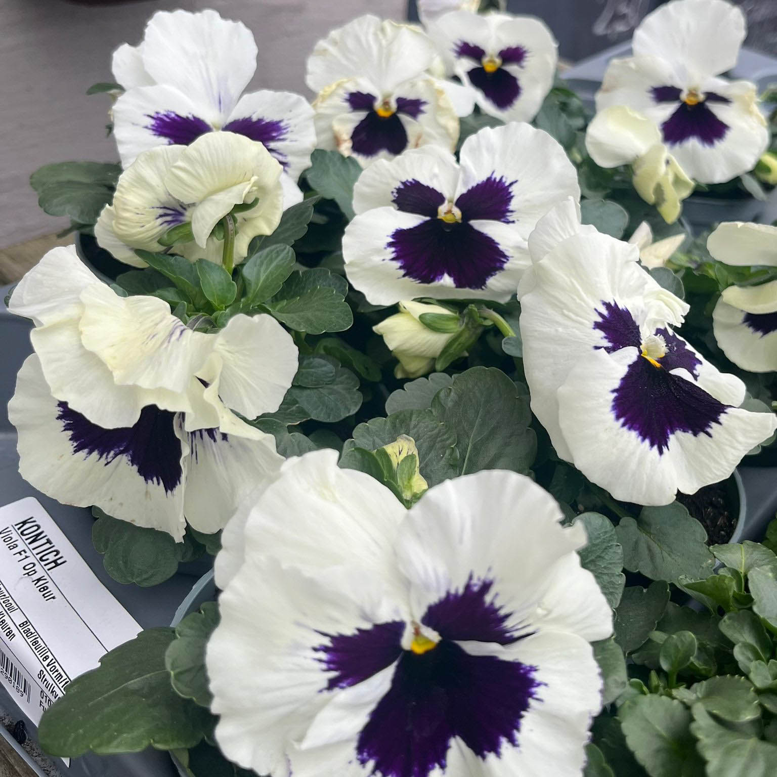 WhatsApp Image 2026-02-28 at 11.27.39 (3)