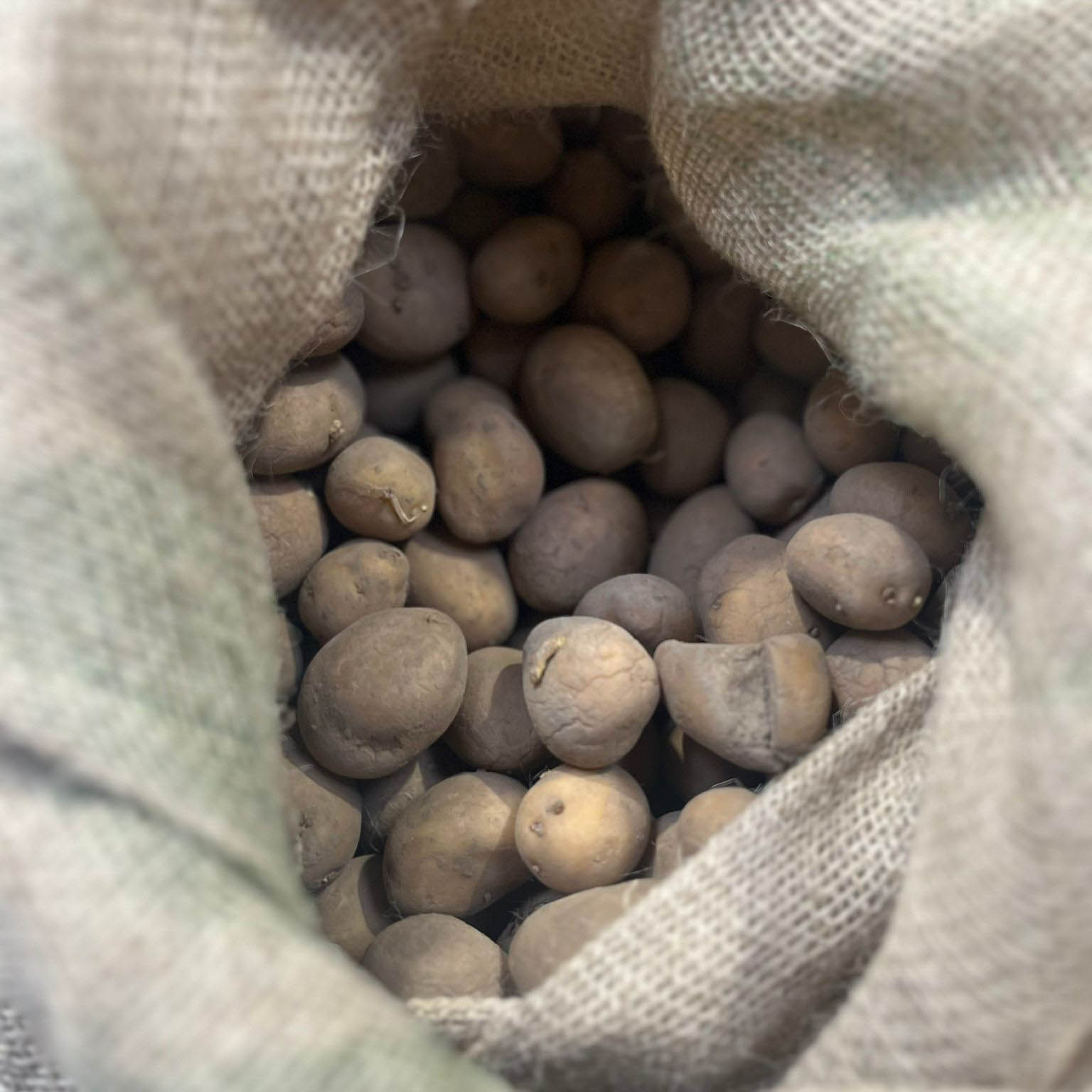 WhatsApp Image 2026-02-28 at 11.27.39 (8)