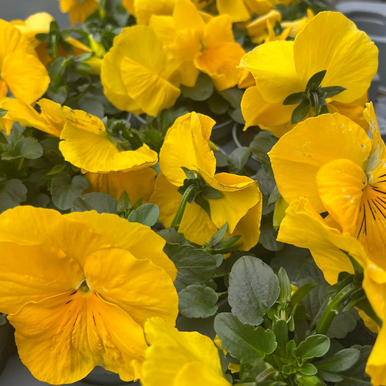 WhatsApp Image 2026-02-28 at 11.27.39